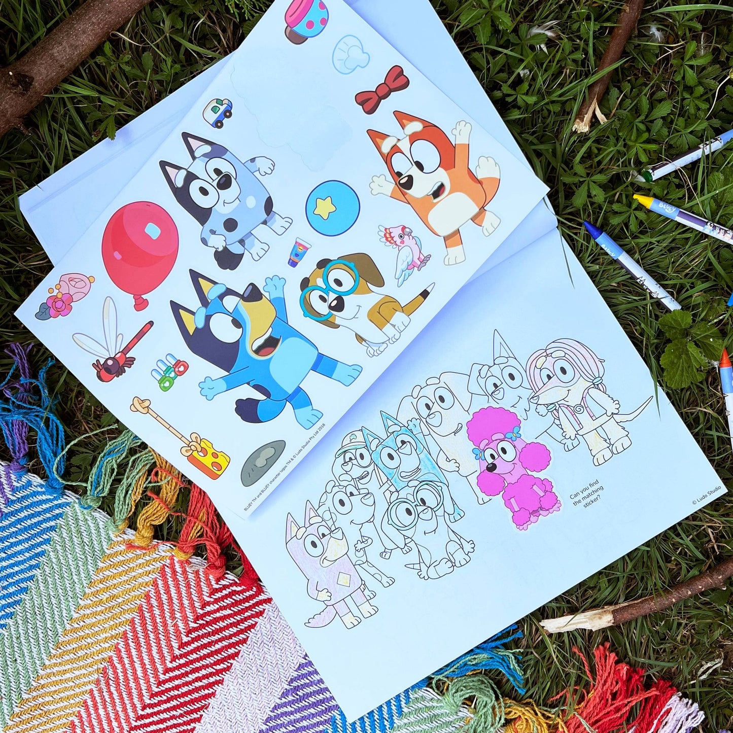 Bloc à colorier – Bluey | Blueprint Collections – vue 7