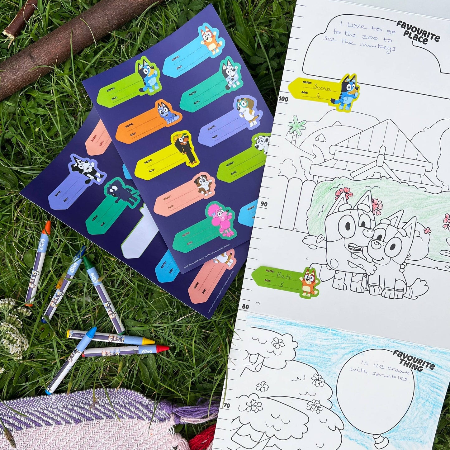 Tableau des – hauteurs de Bluey | Blueprint Collections – vue 11