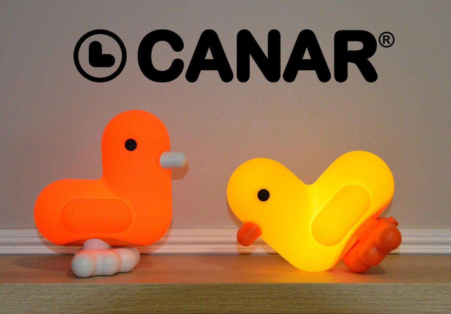 Canar - Canard de Bain