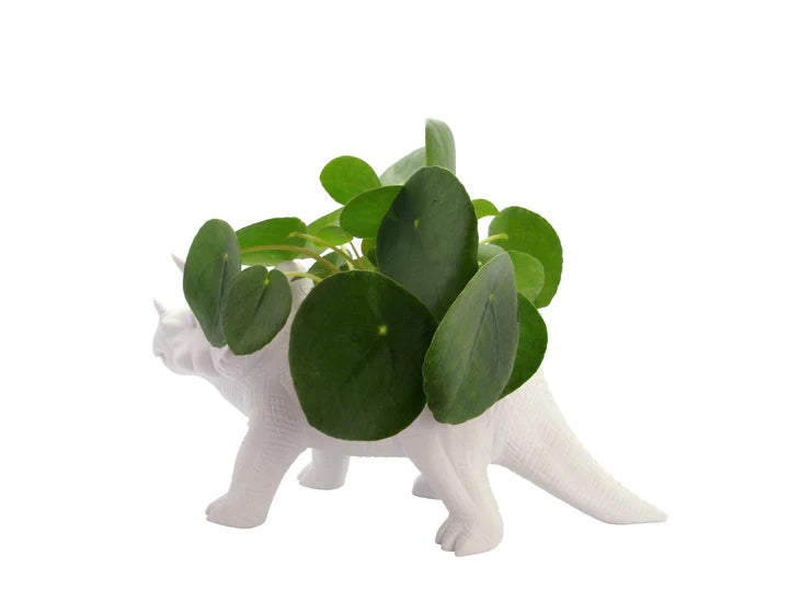 Vazo lulesh dinosauri Tricerapot