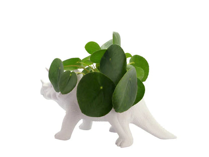 Vazo lulesh dinosauri Tricerapot