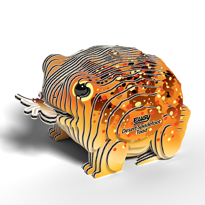 EUGY 3D - Crapaud Du Désert