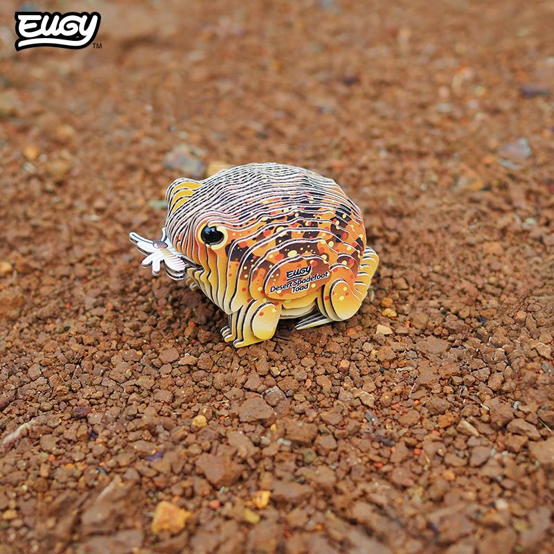 EUGY 3D - Crapaud Du Désert