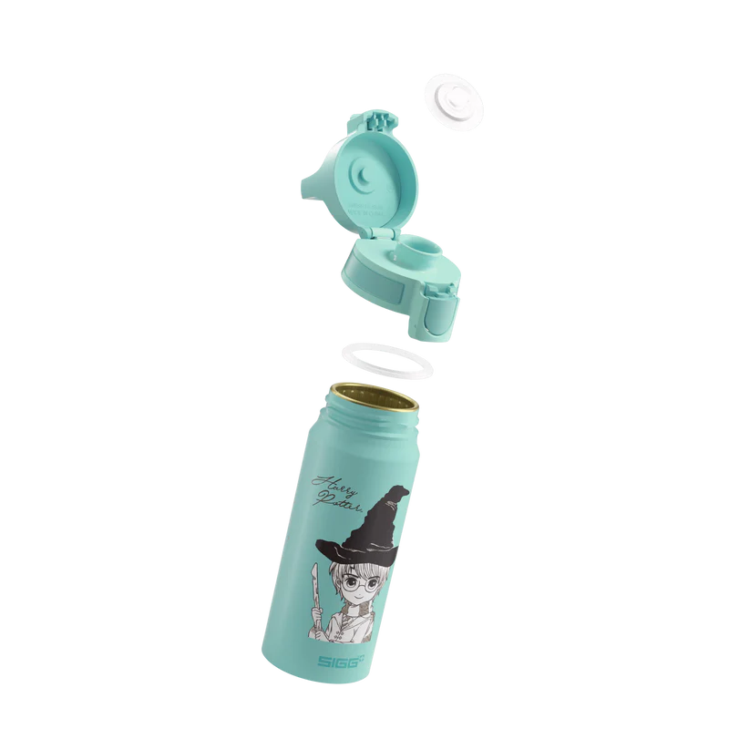 Gourde enfant WMB ONE Kids Harry Potter 0.6 L