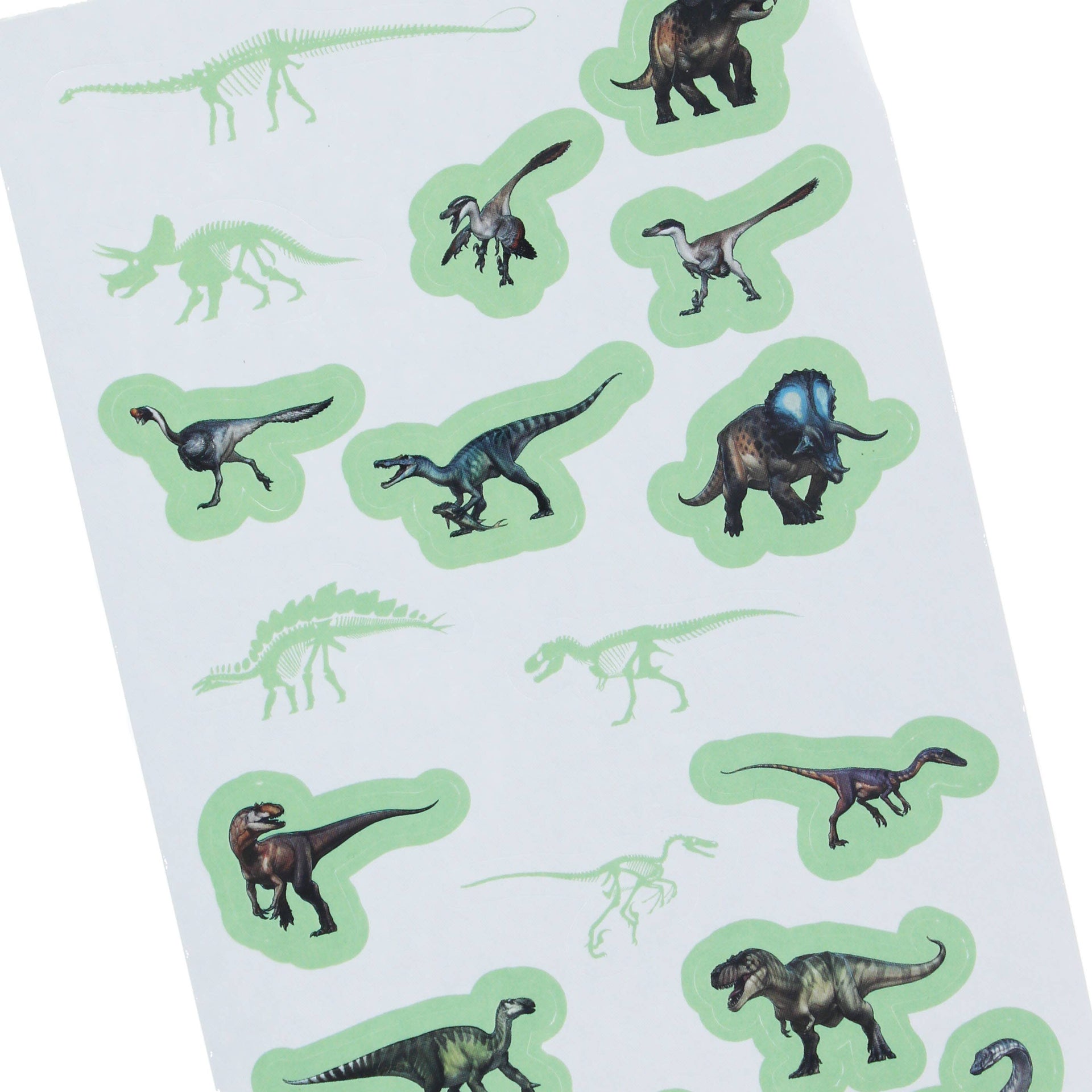 Autocollants – Glow in the dark du Musée d'histoire naturelle | Blueprint Collections – vue 4