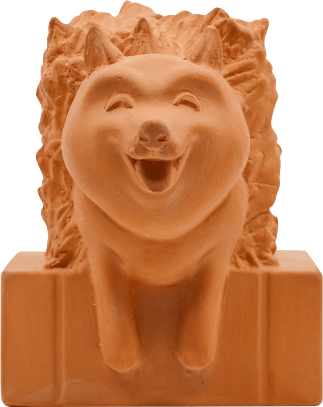 Hedgedoge (Chia Pet)