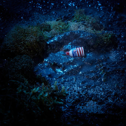 Bashkëpunimi i Transformers Jurassic Park x Transformers Dilophocon dhe Autobot JP12