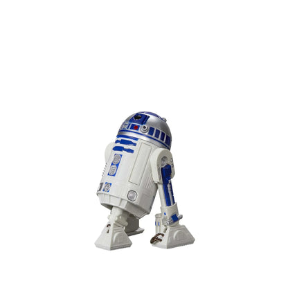 R2-D2 - Kara Seri