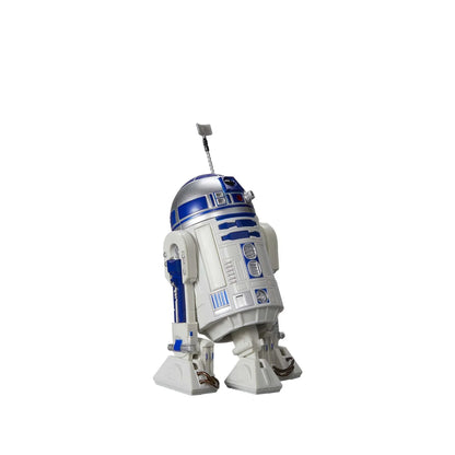 R2-D2 - La serie negra