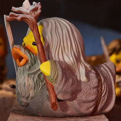 Duck Gandalf “You shall not pass!”