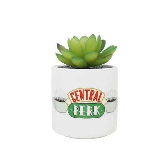 Pot with Fake Plant Friends - Central Perk