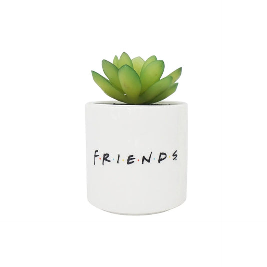 Pot with Fake Plant Friends - Central Perk