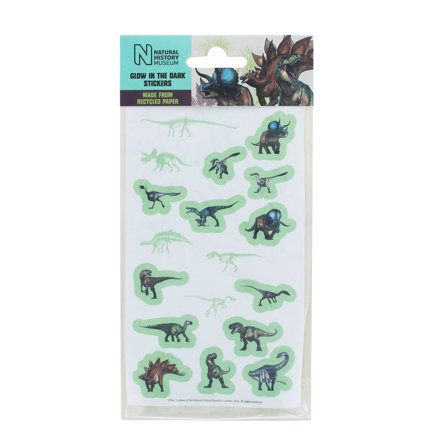 Autocollants – Glow in the dark du Musée d'histoire naturelle | Blueprint Collections – vue 1