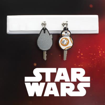 BB9 and Millennium Falcon key cover