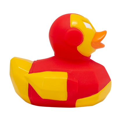 Canard Iron Duck
