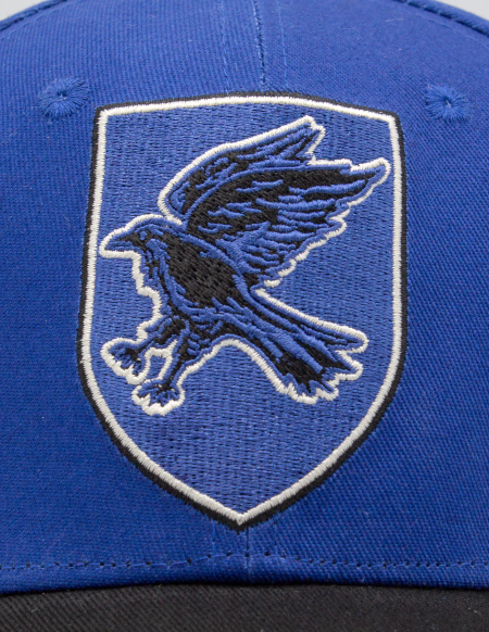 Ravenclaw cap