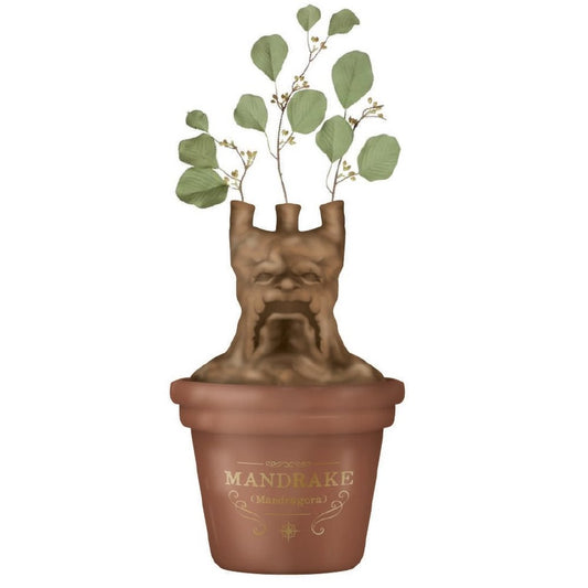 HARRY POTTER - Mandragonne - Pot de fleurs / Vase de table